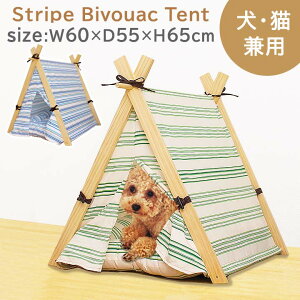 XgCv ro[Neg PTH-045054TCYF60×55×65cmybgnEX ybgxbh ybgxbg egxbh ӂӂ  L   Lp 킢 ėp