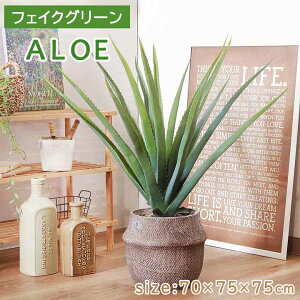 tFCNO[ AG M Zg|bg [fbc] 70×s75×75cm lHA tFCN C~e[V AG [t ϗtA t O[ CeA    fBXvC 