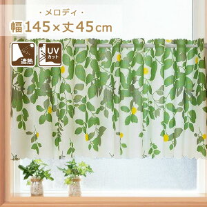 UVJbg ՔM JtFJ[e fB 145x45cm JtFJ[e  [X  ˂_ J[e J[e p ډB CeA ډBJ[e o [XJ[e 