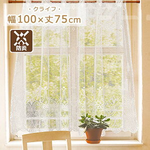 h JtFJ[e NCt 100x75cm JtFJ[e  [X  h J[e J[e p ډB  ډBJ[e o [XJ[e  100 75 op