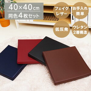 yF4Zbgz |GXeU[NbV ᔽNbV uPAv 40×40cm (XNGA) v V[gNbV NbV ȒP HX  Ɩp lp 