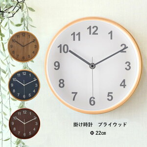 |v u vCEbh 22cm v i`/uE/zCg/lCr[ v Ǌ| Ebh ؖڒ k  Vv 킢 AiO XC[v