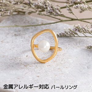 yX[p[Z[^20%OFFzp[ O T[WJXeX p[O ^샊O ^ O XeX A CG[S[h S[h  w YG AM[ ɗD