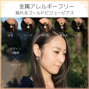 I[_[Ch sAX  ꗱ S[hrW[ T[WJXeX XeX A CG[S[h S[h YG AM[ ɗD Vv ZJhsAX