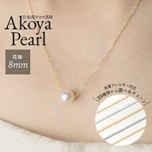 AM[Ή Ԏ싉 {Y ^ lbNX ^lbNX ^ lbNX p[lbNX p[