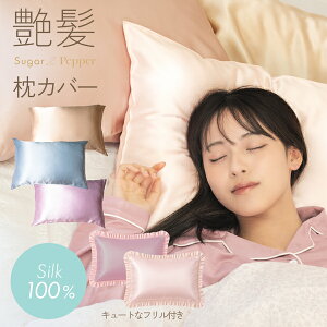 yLy[zfB[X yňlɒIzVN100 Jo[ Ж  22 VN 100 􂦂 t@Xi[  wAPA  Ђ s[P[X Q h~ ێ  