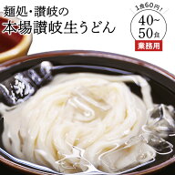 讃岐うどん 送料無料 さぬきうどん 業務用本格さぬきうどん 250g×20袋 1食あたり60円 プロに大人気！大…