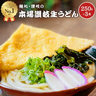 おためし【送料無料】生うどん 6食(250g×3袋)　讃岐生うどん6食セット 産地直送 おすすめ グルメ食品 お…