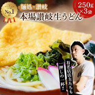 おためし【送料無料】生うどん 6食(250g×3袋)　讃岐生うどん6食セット 産地直送 おすすめ グルメ食品 お…
