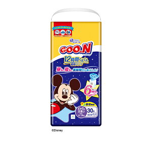 O[ 12Ԃ񂮂zpc BIG傫TCY30×3pbN(SH)