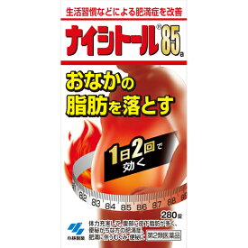 ★【第2類医薬品】小林製薬 ナイシトール85a 280錠