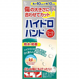 yʈË@znChoh[^Cv(1[) PP