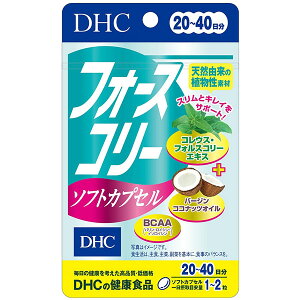 DHC tH[XR[\tgJvZ 20