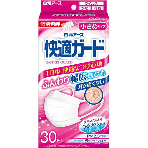 ���K�K�[�h�}�X�N �����߃T�C�Y 30��