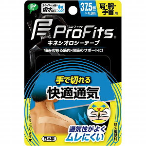 sbv vEtBbc LlVIW[e[v KʋCuŐ؂^Cvv ErEp 4.0m