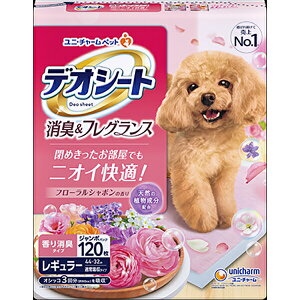 fIV[g LtOX t[V{̍ M[ 120×4(1P[X)