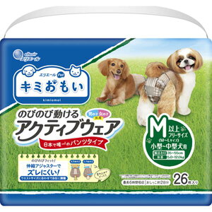 L~ ANeBuEFA M-L 26×4ܓ (1P[X)