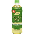 2つの働きカテキン緑茶【特定保健用食品】 500ml×24本入り (1ケース)(伊藤園)