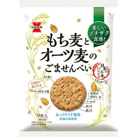 岩塚製菓　もち麦とオーツ麦のごませんべい 9枚×12個入り(1ケース)（YB）