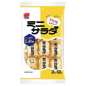 三幸製菓　ミニサラダしお味 24枚×16個入り(1ケース)（SB）