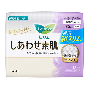 G 킹f ʋCX ɑp 25cm H 17×18pbNi1P[Xjԉ KO