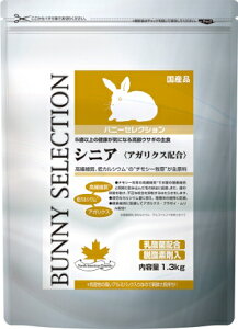 C[X^[@oj[ZNV@VjA@1D3kgiAaAybgA5΁AojZj