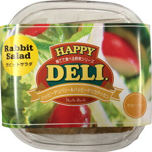 s[c[EAhEA\VGCc@nbs[f@@rbgT_͔|Zbg@N[o[@[؁A쑐Anbs[zfC]