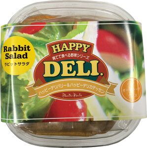 s[c[EAhEA\VGCc@nbs[f@@rbgT_͔|Zbg@I[`[hOX@[؁A쑐Anbs[zfC]