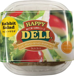 s[c[EAhEA\VGCc@nbs[f@@rbgT_͔|Zbg@C^ACOX@[؁A쑐Anbs[zfC]