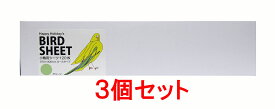 【お買い得】【3個セット】ピーツー・アンド・アソシエイツ　小鳥用シーツ グリーン 120枚×3個セット