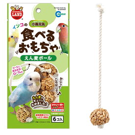 楽天市場 インコ えん麦の通販