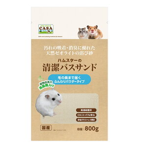 }J@vX^CCASA@nX^[̐oXTh