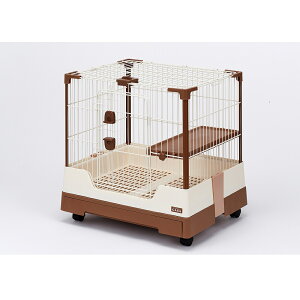 }J@vX^CCASA@ZNgP[W Rabbit@60