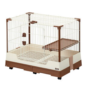 }J@vX^CCASA@ZNgP[W Rabbit@80