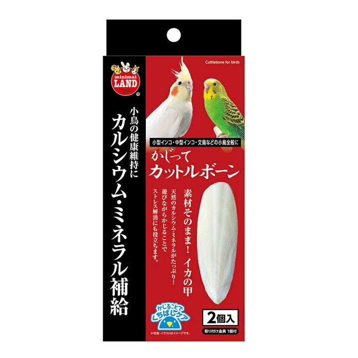 85円 定番スタイル かじってカットルボーン イカの甲 カルシウム ミネラル 小鳥 セキセイ オカメ コザクラ ボタンインコ マルカン MARUKAN 85円 定番スタイル かじってカットルボーン イカの甲 カルシウム ミネラル 小鳥 セキセイ オカメ コザクラ ボタンインコ マルカン MARUKAN