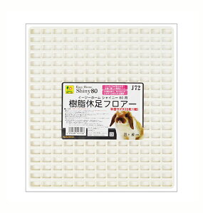 OW@TR[@C[W[z[VCj[80pxtA[i×2Zbgj