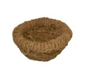 KAWAI@@RRibcM@[Aڑ]