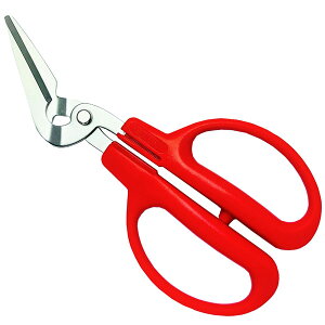 ���J��n���@CANARY�@CR-170�@�J�j�p�n�T�~