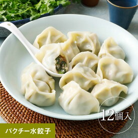 清緑園 巣鴨餃子 水餃子 パクチー 餃子 冷凍食品 母の日 父の日 ギフト おかず ぎょうざ 冷凍餃子 おとりよせグルメ 国産食材厳選 12個入り