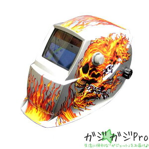 yubNtCf[ SiP10{zՌnږ 21 TIG MAG MIG A[NΉ / Ռx1/25000b \[[dr̗p