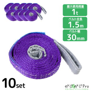 �i�C�����X�����O�x���g �ω׏d1.0t ����1.5m ��30mm 10�{�Z�b�g �X�����O�x���g �X�����O �ʊ|�� ���[�v���� �חg�� �݂�グ �݂艺��