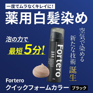 y򕔊Oiz Fortero NCbNtH[J[mubNn(40g)1{ jp wAJ[ э ѐ tHe