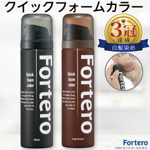y򕔊Oiz Fortero NCbNtH[J[@ubN@_[NuE@(40g)1{ jp wAJ[ э ѐ tHe