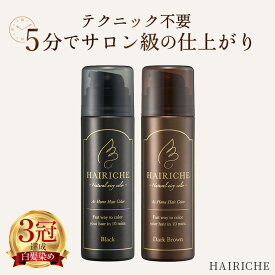 【公式】【送料無料】【医薬部外品】HAIRICHE（ヘアリシェ）ナチュラルエアリーカラー ブラック　ダークブラウン 60g×1 女性用 白髪染め カラーフォーム カラー維持 ハリ コシ 美容室 サロン品質 傷みにくい低刺激 時間短縮 最短5分 簡単 セット