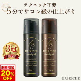 【今だけ20%OFF！】【公式】【送料無料】【医薬部外品】HAIRICHE（ヘアリシェ）ナチュラルエアリーカラー ブラック　ダークブラウン 60g×1 女性用 白髪染め カラーフォーム カラー維持 ハリ コシ 美容室 サロン品質 傷みにくい低刺激 時間短縮 最短5分 簡単 セット