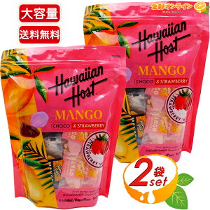 400g×2܃ZbgyHawaiian HostznCAz[Xg hC}S[ `RXgx[ A\[gobO }S[ƃ`Ȓgݍ킹 hCt[c `R[g }S[`