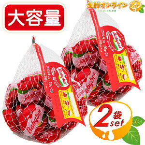 ��v56����yBell�z�x�� �~�j�x�r�[�x�� �`�[�Y �x�� �W���|�� � ��e�� 560g �t�����X�Y �������E�h���܁E�l�H���F���s�g�p�� �i�`�������`�[�Y �R�X�g�R �`�[�Y ���܂� ����� �ƈ�