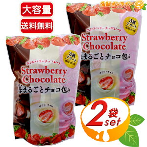≪410g×2袋セット≫【クリート】ストロベリーチョコレート 3種アソート ◎フリーズドライ苺をチョコレートでコーティング◎ ミルクチョコ ホワイトチョコ ストロベリーチョコ フリーズド