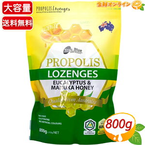 800gyTrue Bluezv|X [J}kJnj[ ̂ǈ MGO 600+ Oet[ sgp APA NǗ ݂͂ ̂ǂ LfB[ycostco RXgR RXgRʔ́z