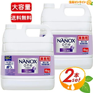 4kg×2ZbgyLIONzimbNX  jICp NANOX one ZxRv[gWF e Ɩp e  t̐ CI gbv imbNXycostco RXgR RXgRʔ